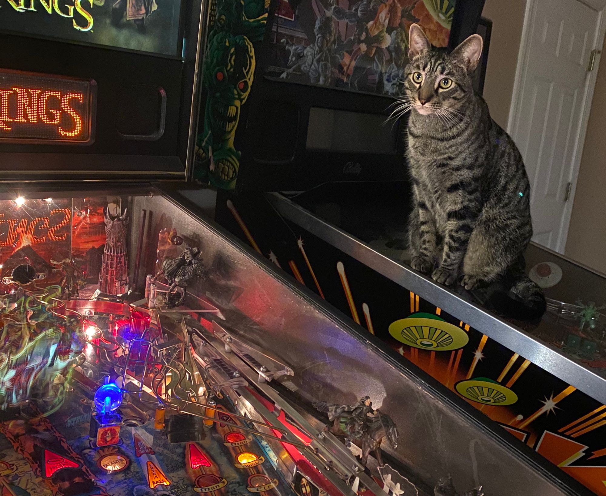 The Pinball Charity Experiment